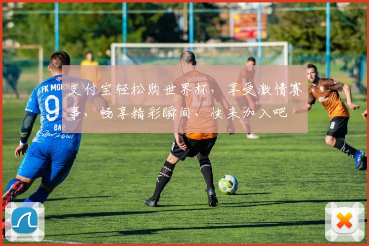 支付宝轻松购世界杯，享受激情赛事，畅享精彩瞬间，快来加入吧