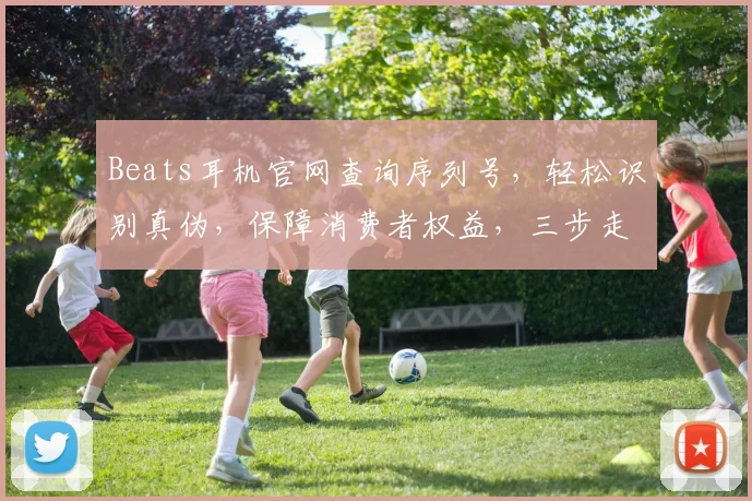 Beats耳机官网查询序列号，轻松识别真伪，保障消费者权益，三步走，体验无忧。