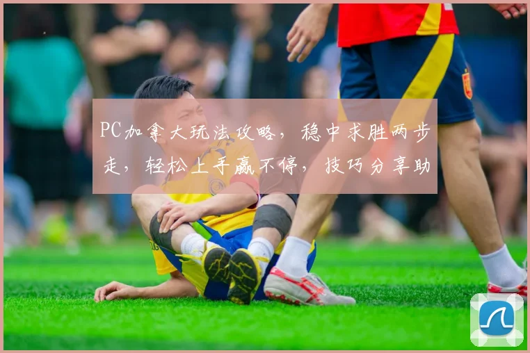 PC加拿大玩法攻略，稳中求胜两步走，轻松上手赢不停，技巧分享助你一臂之力