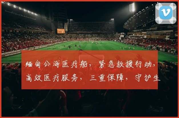 缅甸公海医疗船，紧急救援行动，高效医疗服务，三重保障，守护生命线